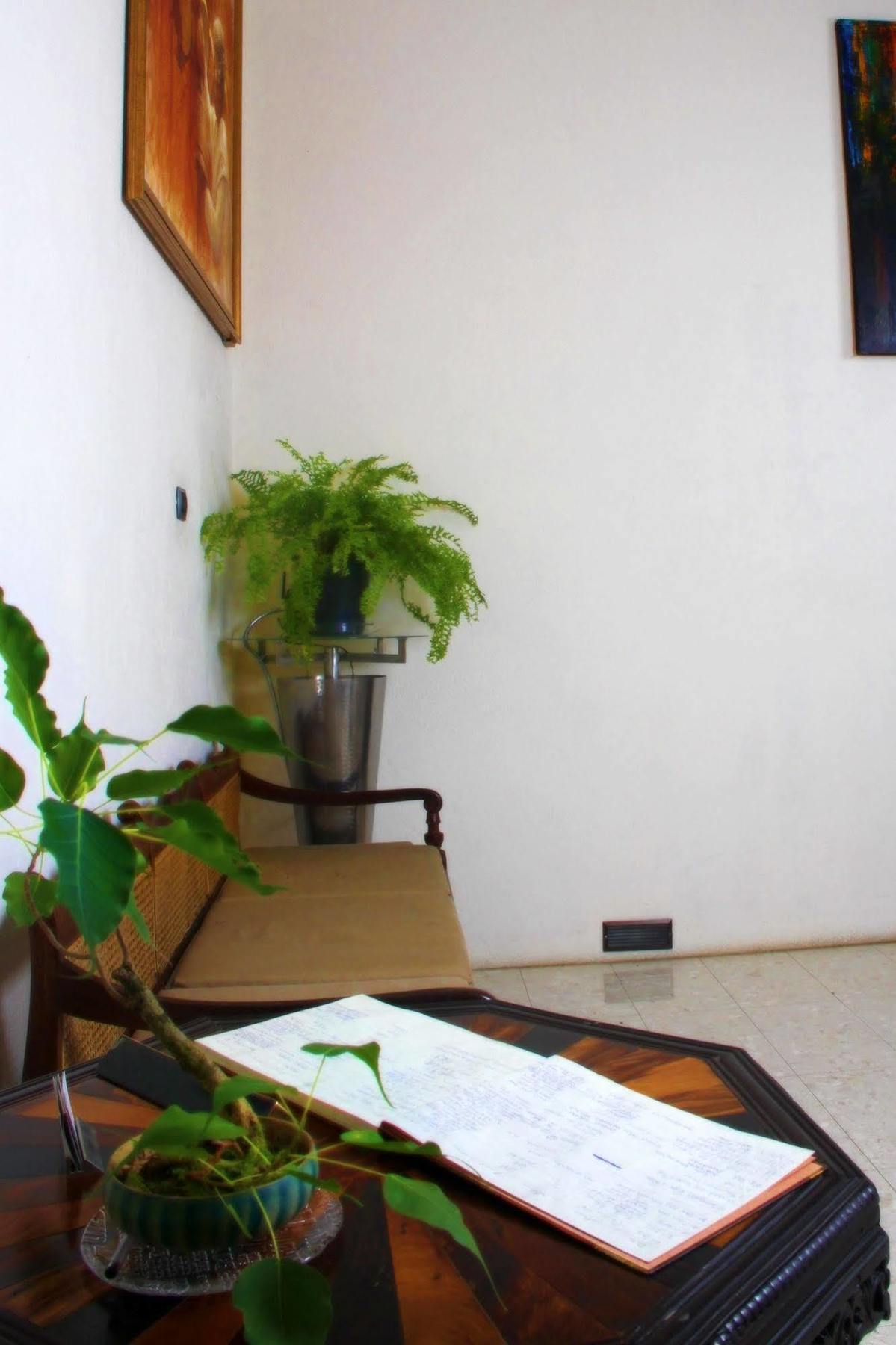 Lodge 19 Negombo Buitenkant foto